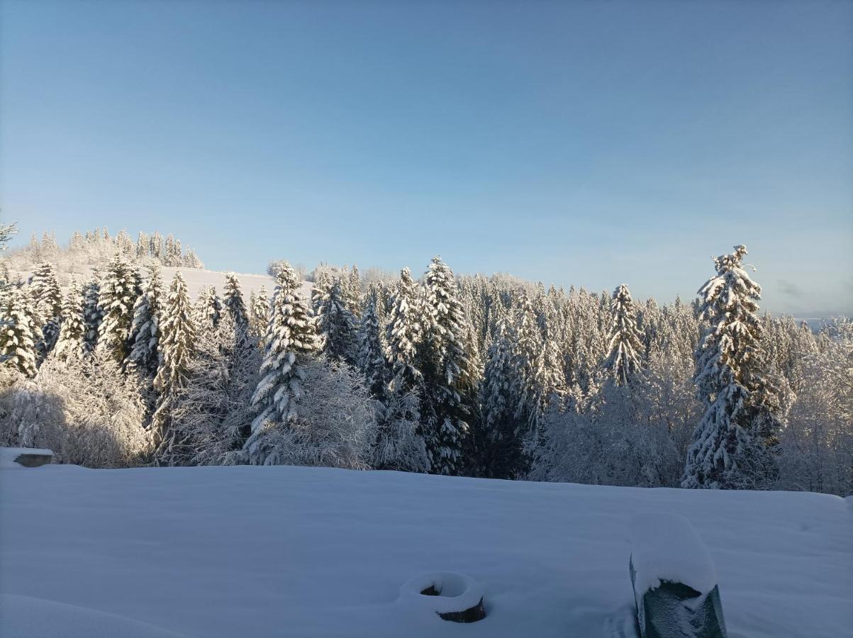Wierchowe Apartamenty Leśnica Zewnętrze zdjęcie